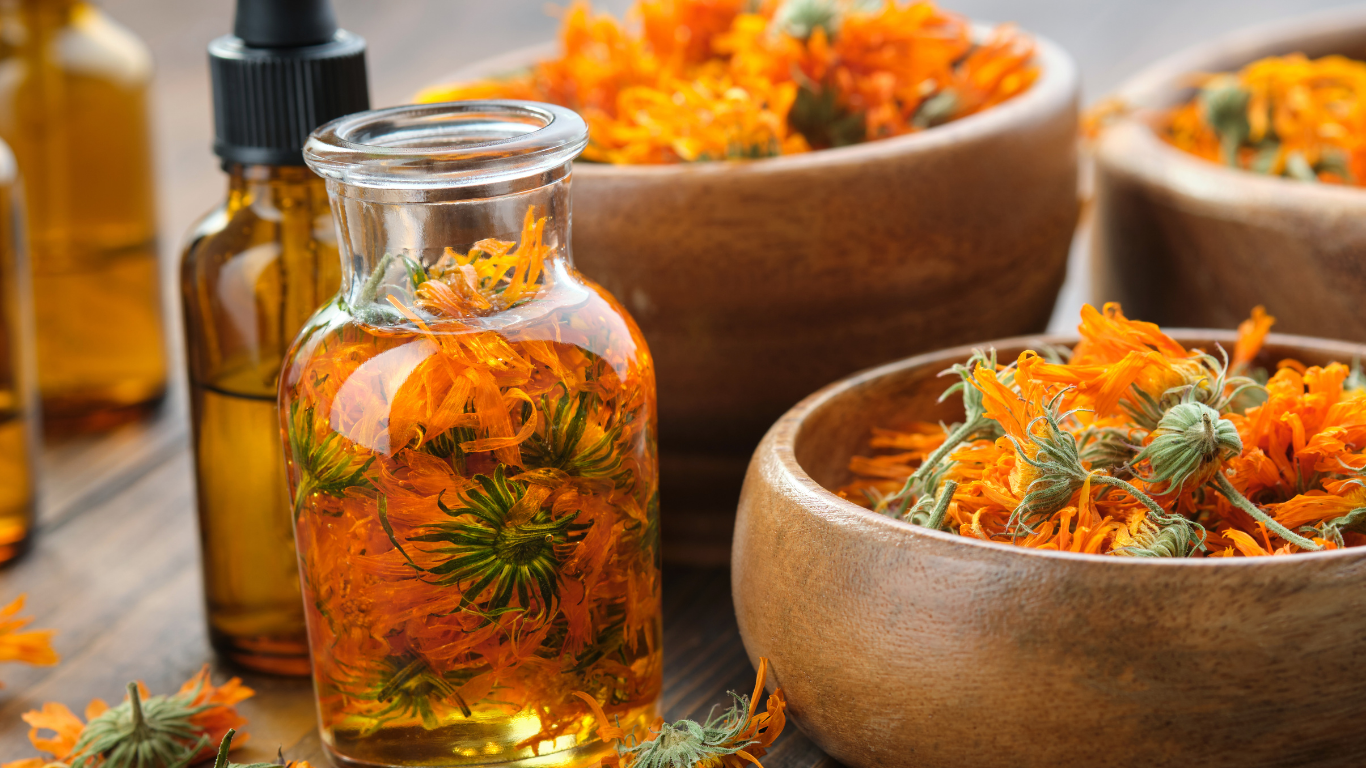 Glass bottles and wooden bowls filled with bright orange calendula flowers and infused oil on a wooden surface.