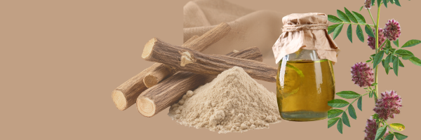 Licorice Root Extract