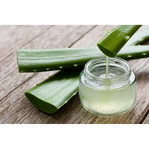 Aloe Vera Picture